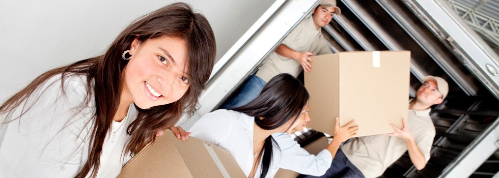Professional Removalists Magill North